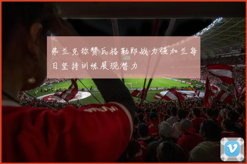 弗兰克称赞瓦格勒即战力强加兰每日坚持训练展现潜力